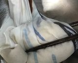 ところてんの作り方作り方10写真