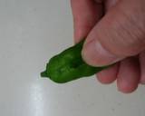 ししとうと茄子の天ぷら作り方4写真