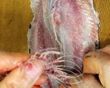 土用のかば焼き_イワシでうなぎもどき作り方4写真