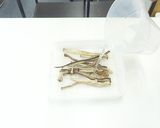 干しずいきの作り方＆戻し方とレシピ作り方15写真