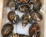 バイ貝の生姜煮作り方1写真