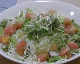 塩そうめん 余りものの野菜で作るそうめん作り方5写真