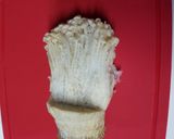 夏バテにゴーヤとえのきのナムル作り方1写真