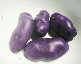 インスタ映えする！野菜サンドイッチ作り方1写真