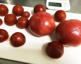 家庭用トマトソース☆作り方1写真