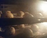 レーズンクリームチーズパン作り方19写真