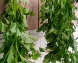青じそ大量消費 青じそジュノベーゼソース作り方2写真