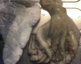⭐️生タコを美しく柔らかく茹でる極意⭐️作り方1写真