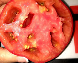 レンジで簡単♪ 無添加トマトカレー♪作り方1写真