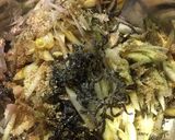 【夏ご飯】無限ミョウガ作り方2写真