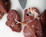 【ピリ辛】鶏レバーの白ワイン煮作り方1写真