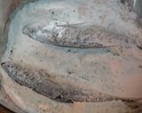 海苔塩味の豆あじの唐揚げ作り方3写真