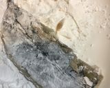 いわしの竜田揚げ風作り方5写真