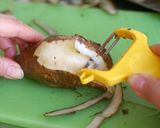 しゃきしゃき＊ヤーコンのきんぴら作り方1写真