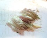 ミョウガとツナのモリモリサラダ作り方3写真