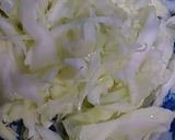 キャベツと紅しょうがのサラダ作り方1写真