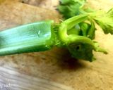 【作り置き】セロリの浅漬け作り方1写真