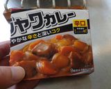 最速の玉葱の皮のブロードのカレー作り方30写真