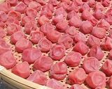 梅の土用干し作り方11写真