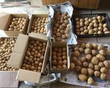 ちっちゃな新じゃがのころころ煮作り方1写真