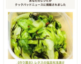 《作り置き》レタスの塩昆布浅漬け作り方5写真