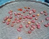 猛暑の太陽活用術　セミドライトマト　　作り方4写真