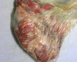 うまい！　簡単！　創作　ピーマン肉詰め作り方1写真