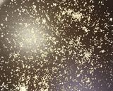 簡単！チーじゃが作り方3写真