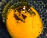 【夏ご飯】冷やし釜玉うどん作り方3写真