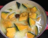 ＊鶏肉とカボチャのココナッツ煮込み＊作り方5写真