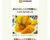 我が家の、かぼちゃの煮物です。作り方14写真