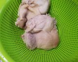 鶏もも肉としその鶏塩白湯冷やしうどん作り方7写真