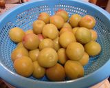 冷凍梅で梅干し作り方6写真