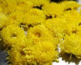 花の形のまま♪食用菊の冷凍保存方法作り方1写真
