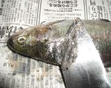 簡単♪壺抜き説明つき♪ニジマスのムニエル作り方2写真