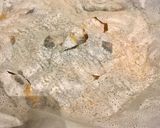 鯖の味噌煮作り方5写真