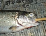 簡単♪壺抜き説明つき♪ニジマスのムニエル作り方4写真