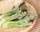 たらの芽の天ぷら作り方1写真