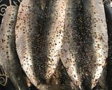 いわしカレー作り方1写真