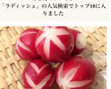 お弁当に＊ラディッシュの白だし漬け作り方7写真