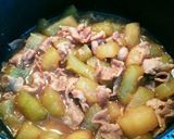 はぐらうりと豚肉の生姜煮♪作り方11写真
