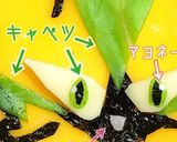 キャラ弁 ポケモン☆ゼラオラ作り方7写真