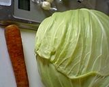 簡単☆春キャベツのコールスロー作り方1写真