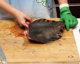 ヒラメ・カレイのさばき方作り方1写真