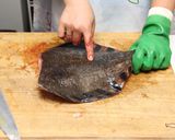 ヒラメ・カレイのさばき方作り方2写真