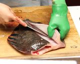 ヒラメ・カレイのさばき方作り方9写真