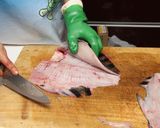 ヒラメ・カレイのさばき方作り方10写真