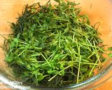 おかひじきと豆苗のレンジでナムル作り方1写真