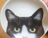 猫好きさんへ『ねこと金魚』弁当♡作り方1写真