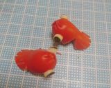 猫好きさんへ『ねこと金魚』弁当♡作り方17写真